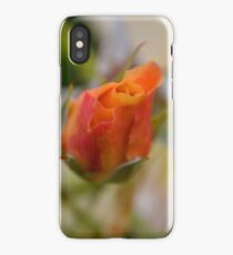 Two Tone iPhone Case