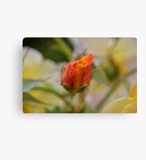 Two Tone Canvas Print