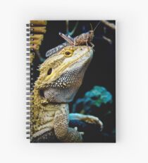Smaugling's Dinner Hat Spiral Notebook