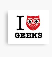 I Owl Geeks (love heart) Canvas Print