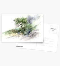 Brush Stone Study Postcards
