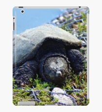 Snapping Turtle iPad Case/Skin