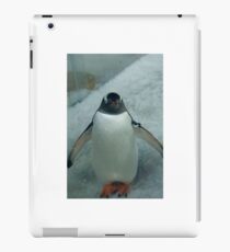 Penguin iPad Case/Skin