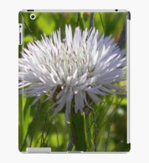 Young Star Thistle - Best Viewed Larger iPad Case/Skin