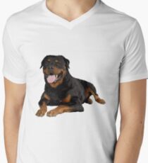 Rottweiler Portrait Men's V-Neck T-Shirt