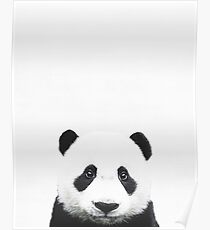 Baby Panda, Kinderzimmer, Tier, Kinderzimmer, Moderne Kunst, Wanddekoration Poster