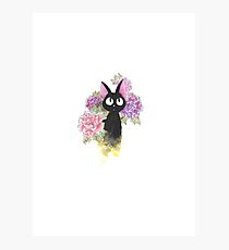 JIji the Cat Photographic Print