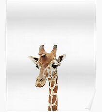 Baby Giraffe, Kinderzimmer, Tier, Kinderzimmer, moderne Kunst, Wanddekoration Poster