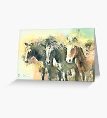 Wild Horses Greeting Card