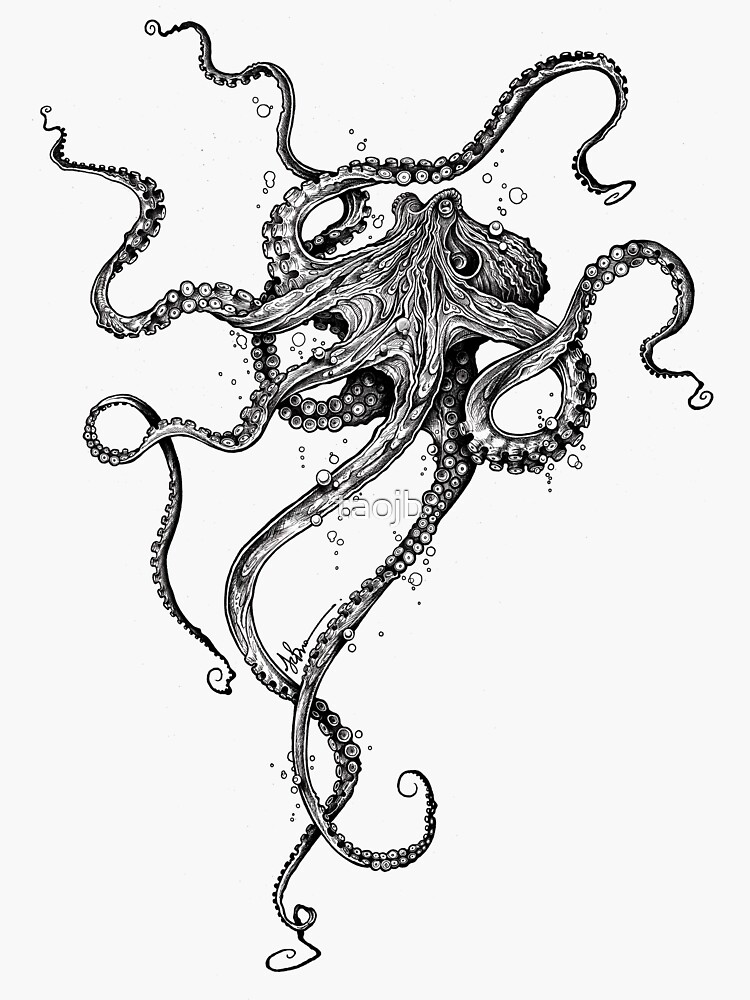 Octopus by taojb