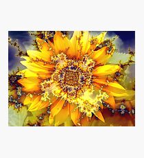Flowering Sun. Photographic Print
