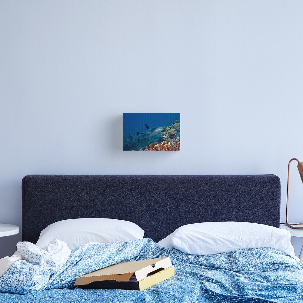Just cruising Canvas Print