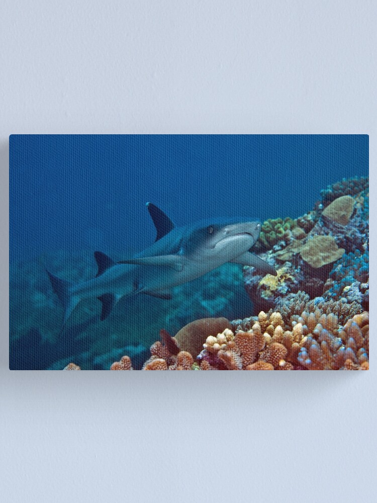 Alternate view of Just cruising Canvas Print