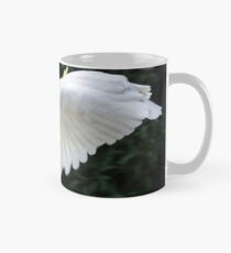 cockatoo in flight Mug