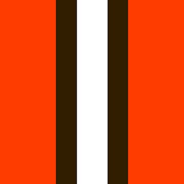 Cleveland browns Color Palette