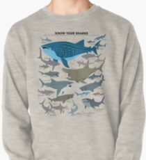 Know Your Sharks Pullover