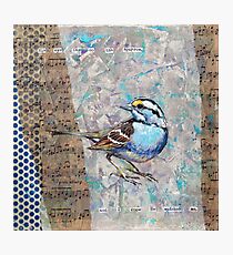His Eye is on the Sparrow Photographic Print