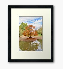 Survival Framed Print