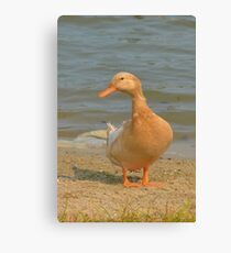 Got bread? Canvas Print
