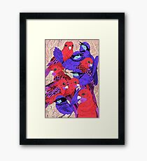 Wrens and Rosellas Delight! Framed Print