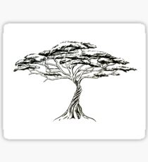 Whistling Thorn , Zen Bonsai African Tree Black and White Illustration Sticker