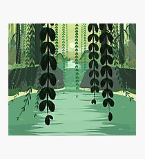 Misty Marsh Photographic Print