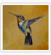 Hummingbird Sticker