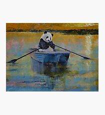 Panda Reflections Photographic Print