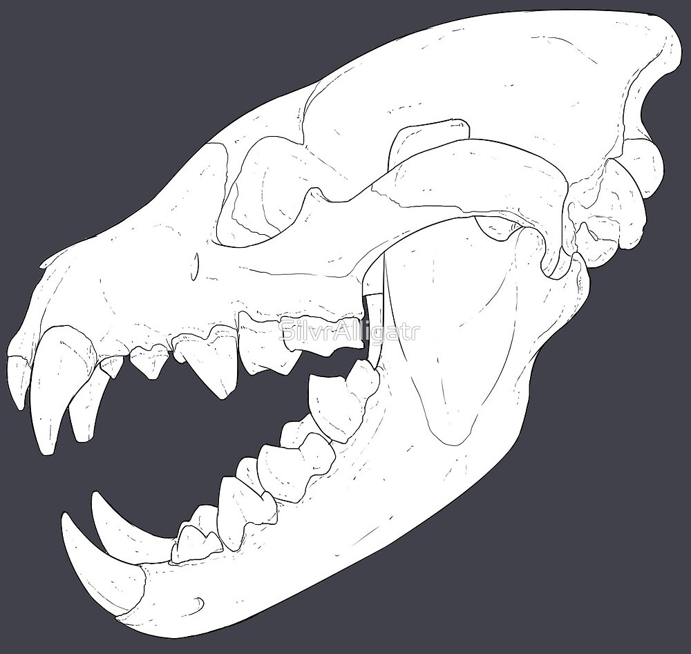 "Spotted Hyena Skull - grey" by T-VR | Redbubble