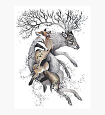 protect our wildlife Photographic Print