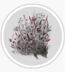 Hedgehog Sticker