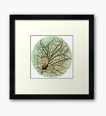 Dendritic tree and spines of an hippocampal neuron - watercolor - green Framed Print