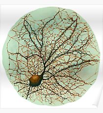 Dendritic tree and spines of an hippocampal neuron - watercolor - green Poster