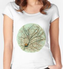 Dendritic tree and spines of an hippocampal neuron - watercolor - green Women's Fitted Scoop T-Shirt