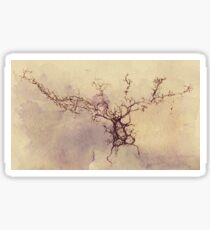 Olfactory bulb neuron - pencil and watercolor Sticker