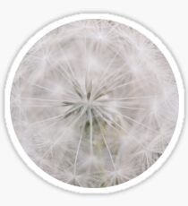 Soft Wishes Sticker