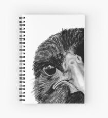 The Secret of the Raven Spiral Notebook