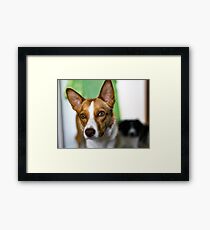 Skyler Framed Print