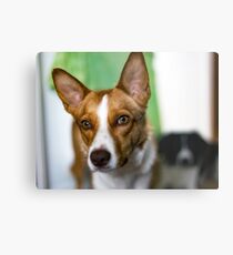 Skyler Metal Print