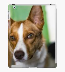 Skyler iPad Case/Skin