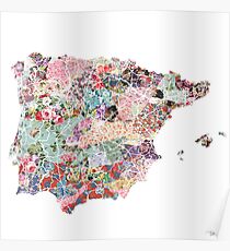 Spain map Poster