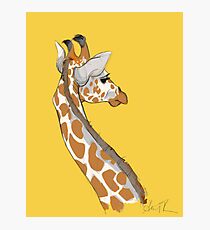 Giraffe Fotodruck