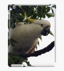 Sulphur Crested Cockatoo iPad Case/Skin