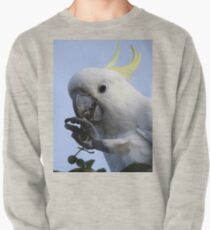 Sulphur Crested Cockatoo Pullover