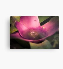 Depths Metal Print