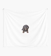 Charming cute dachshund puppy dog Wall Tapestry