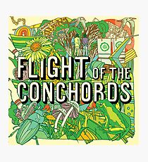 Flight of the Conchords - Album Photographic Print