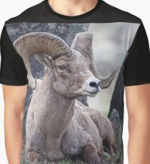 Resting Ram Graphic T-Shirt