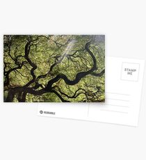 Labyrinth Postcards
