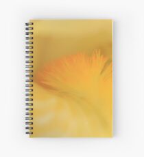The Beard Spiral Notebook
